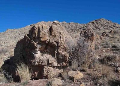 شواهدی از استقرار دوره نوسنگی در گنج دره شناسایی شد